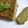 il Makiko Tanaka quando ha preparato Torta di patate al pesto
