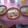 El cooksnap de andrea monsalve cuando hizo Hamburguesas de jurel a la napolitana horneadas.