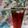 Tulsi Shaherawala's cooksnap of when they made બ્લેક ડોગ મોકટેલ (Black Dog Mocktail Recipe In Gujarati).