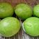 Cooksnap dari Ghina Nafsiandri untuk resep Bakpao pandan empuk