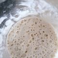 Cooksnap από Λεττα στη συνταγή Προζύμι για Αρχάριους