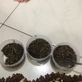 Cooksnap dari kucingkepanasan untuk resep Puding Puyo Coklat Sehat | Cemilan Anak | Bekal Sekolah