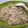Cooksnap dari Qurota A'yun untuk resep Nasi Goreng Terasi Bangka