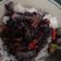 Cooksnap dari Novita Ardindra untuk resep Hot Spicy Black Squids aka Cumi Kuah Item Super Lembuuut