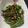 寧寧 的 丁香豆鼓老鶯翅 （山蘇）（創意料理） cooksnap