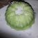Cooksnap dari Cecillia YurikeSoewandi untuk resep Putu ayu anTi gagal lembuut bingiiitzzw
