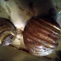 tige321's cooksnap of when they made Better than fries.
