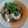รูป Cooksnap ของ apple เมื่อเขาทำ “ข้าวต้มกระดูกหมู”
