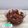 Pankti Baxi Desai's cooksnap of when they made કાજુ કારેલા નું શાક (Kaju Karela Shak Recipe In Gujarati).