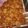 muskan's cooksnap of when they made Gajar ka halwa.