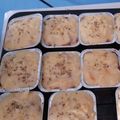 Cooksnap dari Tina ( Santi ) untuk resep Spaghetti Brulee