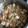 El cooksnap de matiasortizgarcia cuando hizo Quinoa con pollo, soja y miel.