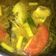 Cooksnap dari Alfina Fina untuk resep Pindang Patin Kuning (Kids Friendly)