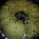 Cooksnap dari ny Hamka untuk resep Eggless Banana Oreo Steamed Cake