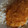 Noor Ul Ann's cooksnap of when they made Simple dal chawal.