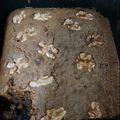 El cooksnap de Natalia Berrios cuando hizo Brownies de CHOCOLATE!.