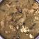 El cooksnap de Sonn cuando hizo Pollo al curry Monsieur Cuisine.