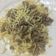 Cooksnap dari Cintya Aprina untuk resep Fettuccine carbonara