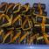 Cooksnap dari Fitri Astuti Nduyp untuk resep Kue Kering Stik Cokelat