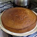 El cooksnap de Camila Garcia cuando hizo Bizcochuelo de Naranja con masa Licuada.