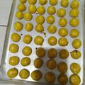 Cooksnap dari Indah Novitasari untuk resep Nastar empuk lumer di mulut