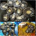 El cooksnap de José J. cuando hizo Portobellos  a la plancha.