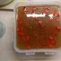 Mui Cheuk Chi 的 枸杞桂花糕 cooksnap