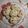 El cooksnap de valen cuando hizo Galletas de avena y limón.