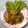 Cooksnap dari Rini Dwi Astuti untuk resep Tumis Sayap Ayam Cabe Ijo