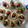 AmsCookbook's cooksnap of when they made Lady Bug Crostini Snacks.