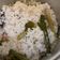 Cooksnap dari Mutiah Apriyanti untuk resep Nasi Gurih Aceh