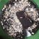 Cooksnap dari Ellis Sundari LiLis untuk resep Eggless Chocolate Cake No Mixer