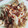 Cooksnap dari dapoer devan untuk resep EMERGENCY KIMCHI