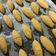 Cooksnap dari Afifa Fitia untuk resep Cookies keju Crackers
