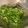 Lanni Hsu 的 蒜炒菠菜 cooksnap