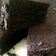 Cooksnap dari Fourita untuk resep Bolu Kukus Ketan Hitam