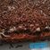 Cooksnap dari Shafira'S untuk resep Brownis Kukus Chocolatos