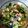 El cooksnap de Veronica Nack cuando hizo Ensalada con fruta.