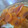El cooksnap de Maria Arrieta Lozano cuando hizo Tarta de durazno y crema pastelera súper fácil!!.