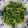 陳伽瑜 的 《 青菜料理 》蒜炒芥蘭菜 cooksnap