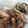 El cooksnap de Cook_and_Jud cuando hizo Pollo al ajillo con limón.