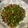 Youling Shen 的 炒蒼蠅頭 cooksnap
