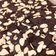 รูป Cooksnap ของ Nilesprd เมื่อเขาทำ บราวนี่โกโก้ / Brownie Coco / อร่อย หนึบๆ