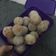 Cooksnap dari Cindy Famiza untuk resep Donat goreng pemula