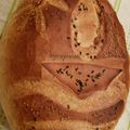 Molnár-Keresztényi Brigi Cooksnap-ja, amikor elkészítette a(z) A mi mindennapi kenyerünk receptet.