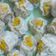 Cooksnap dari Enny Soesilowati untuk resep Siomay Ayam