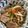 Eve 的 #78 蔥爆豬肉 cooksnap
