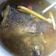 Cooksnap dari vita untuk resep Pindang ikan nila