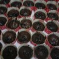 Cooksnap dari Fitria Sari untuk resep Muffin kukus Simple (Nyoklat Bgt)