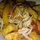 Cooksnap dari Siswaty Elfin Bachtiar untuk resep Tauge Tempe
